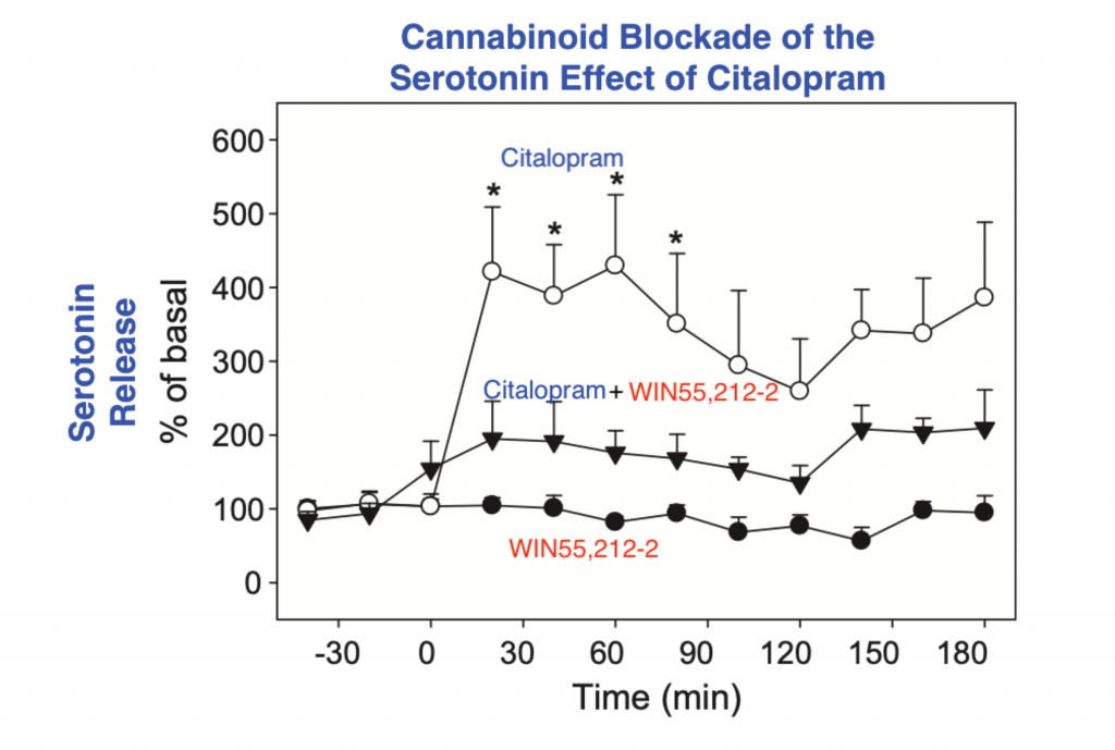 Line graph of cannabinoid blockade of the serotonin effect of citalopram