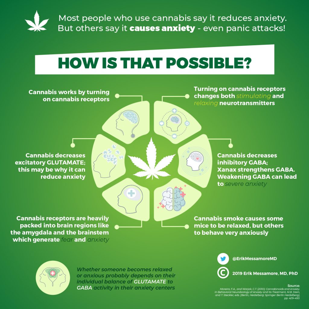 cannabis-and-anxiety-erik-messamore-md-phd